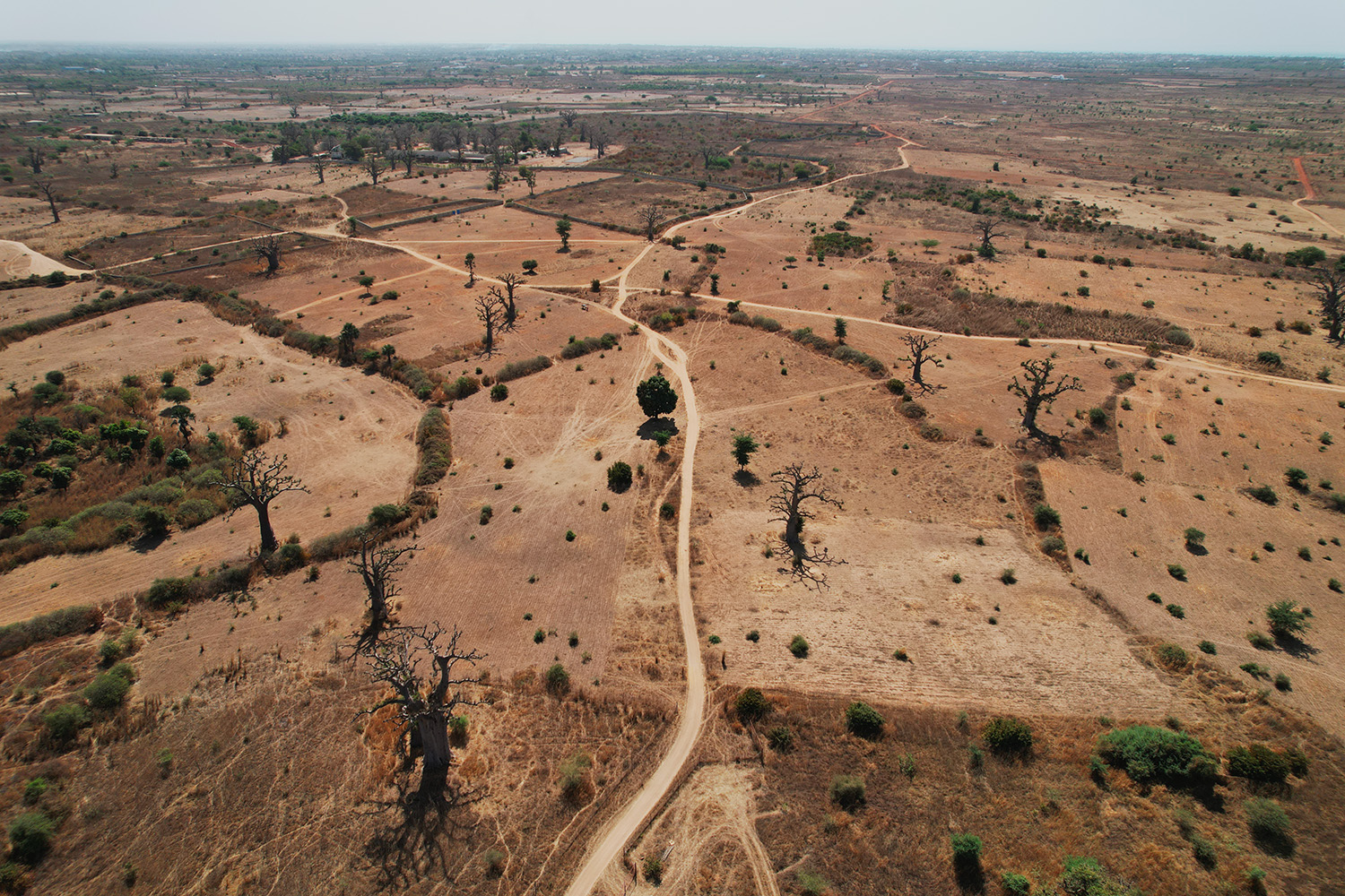 Bey Diiwaan project launch