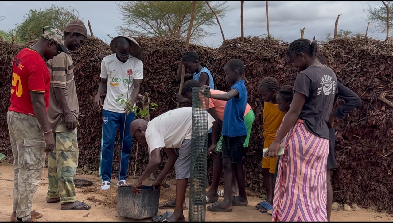 Reforestation campaign in Ndiouck Fissel: youth taking root through action
