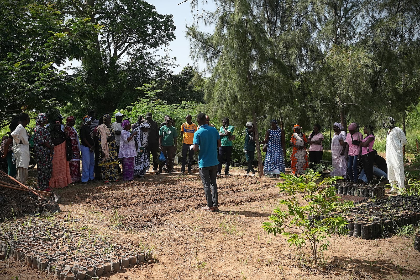 Séance de terrain autour de la pépinière et des parcelles de Tolou Keur